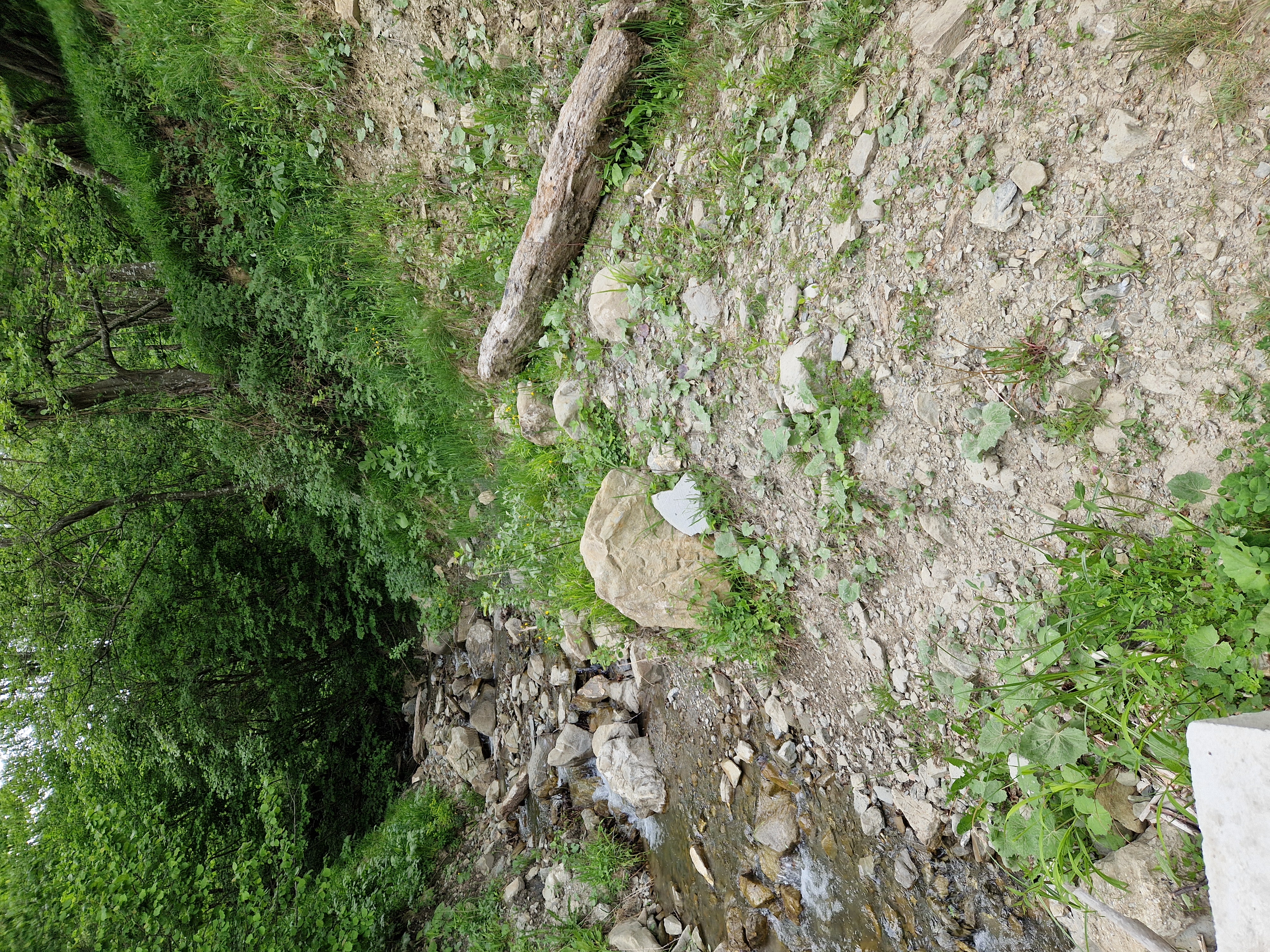 Indiciu Crăite 2