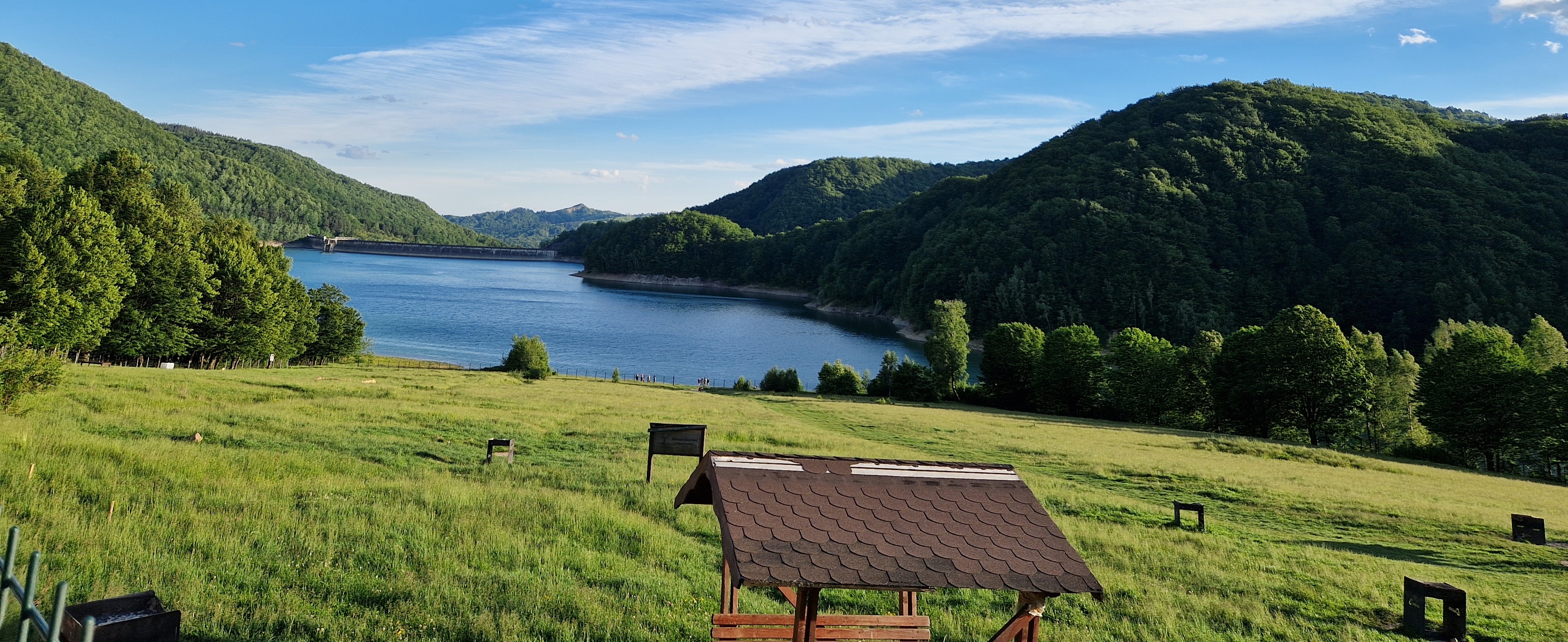 Lacul Paltinu