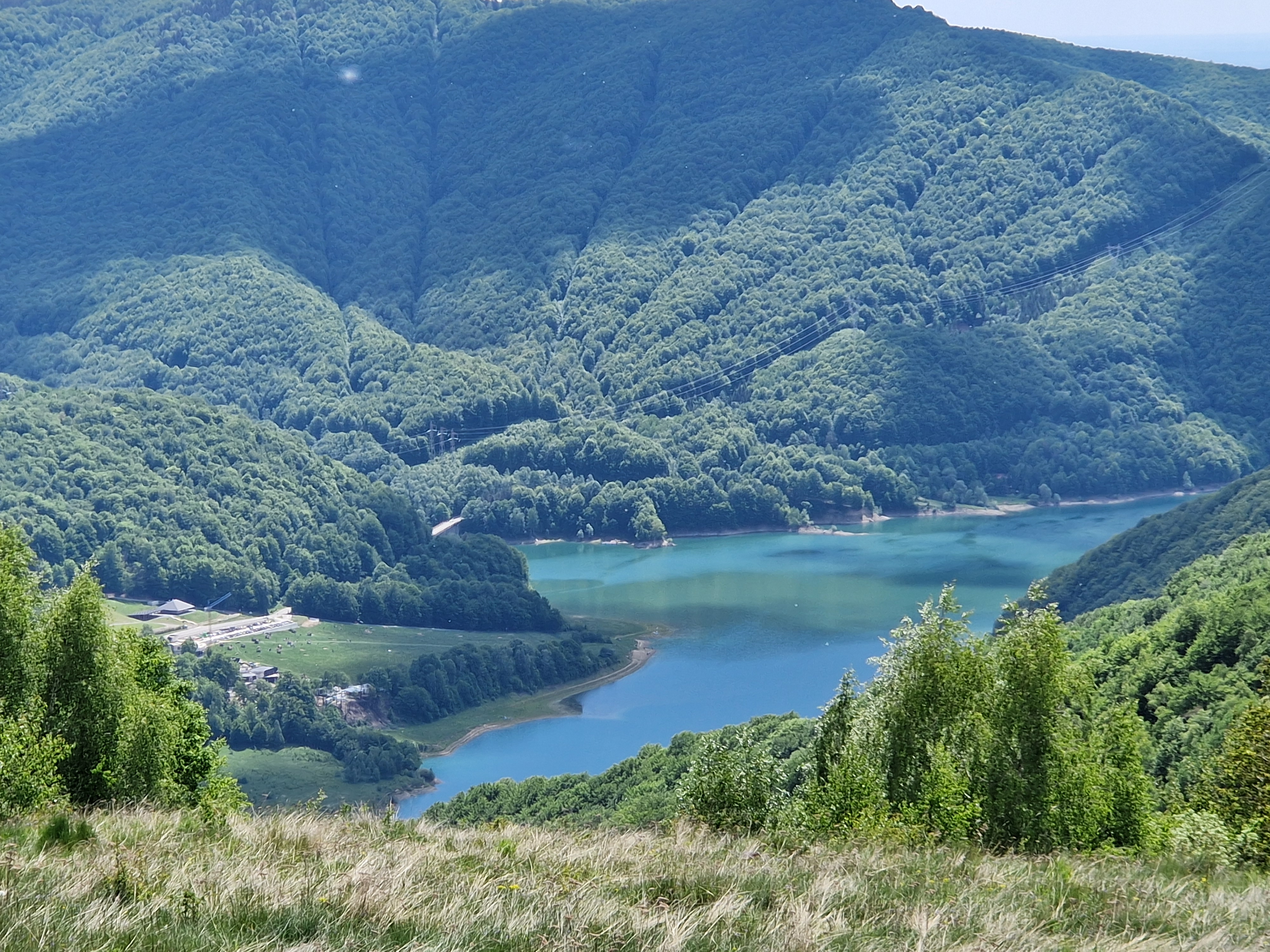 Lacul Paltinu detaliu